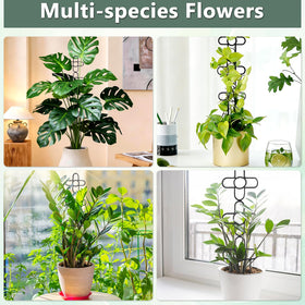ANCOUUIN easy-install trellis makes setup quick for potted plants