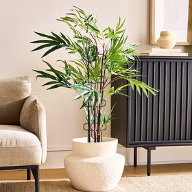 ANCOUUIN indoor-outdoor plant support helps vines and beans climb