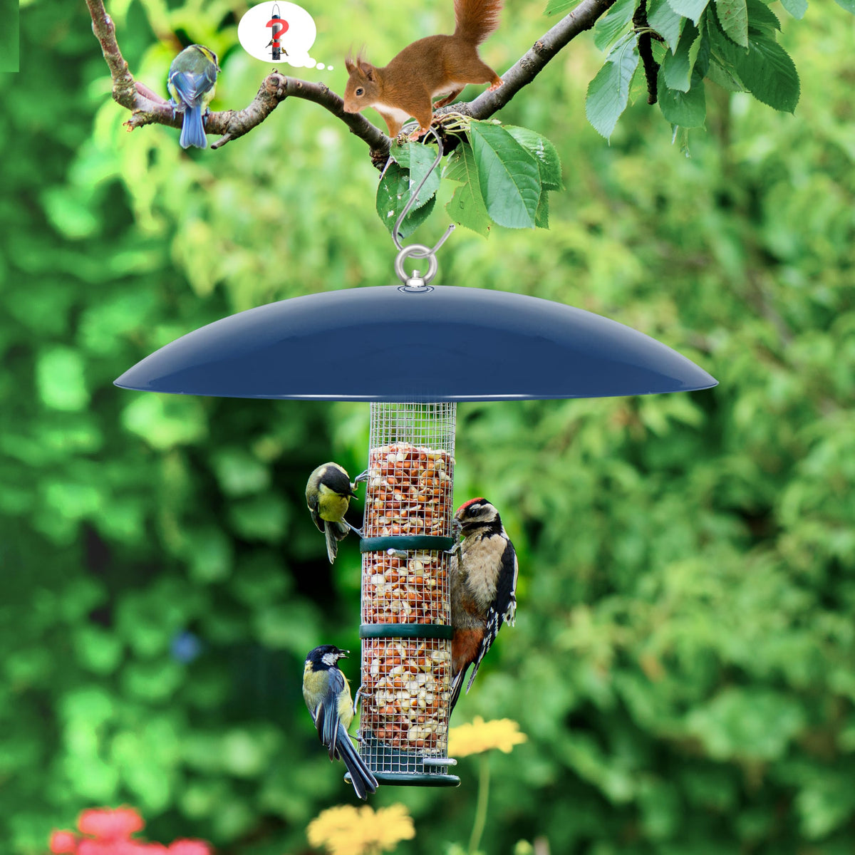 Andergi bird feeder dome guard two-pack offers convenient seasonal protection.