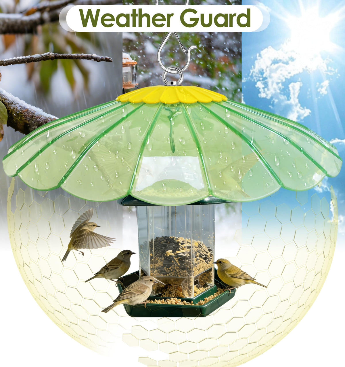 Andergi bird feeder rain cover keeps seeds dry during wet weather