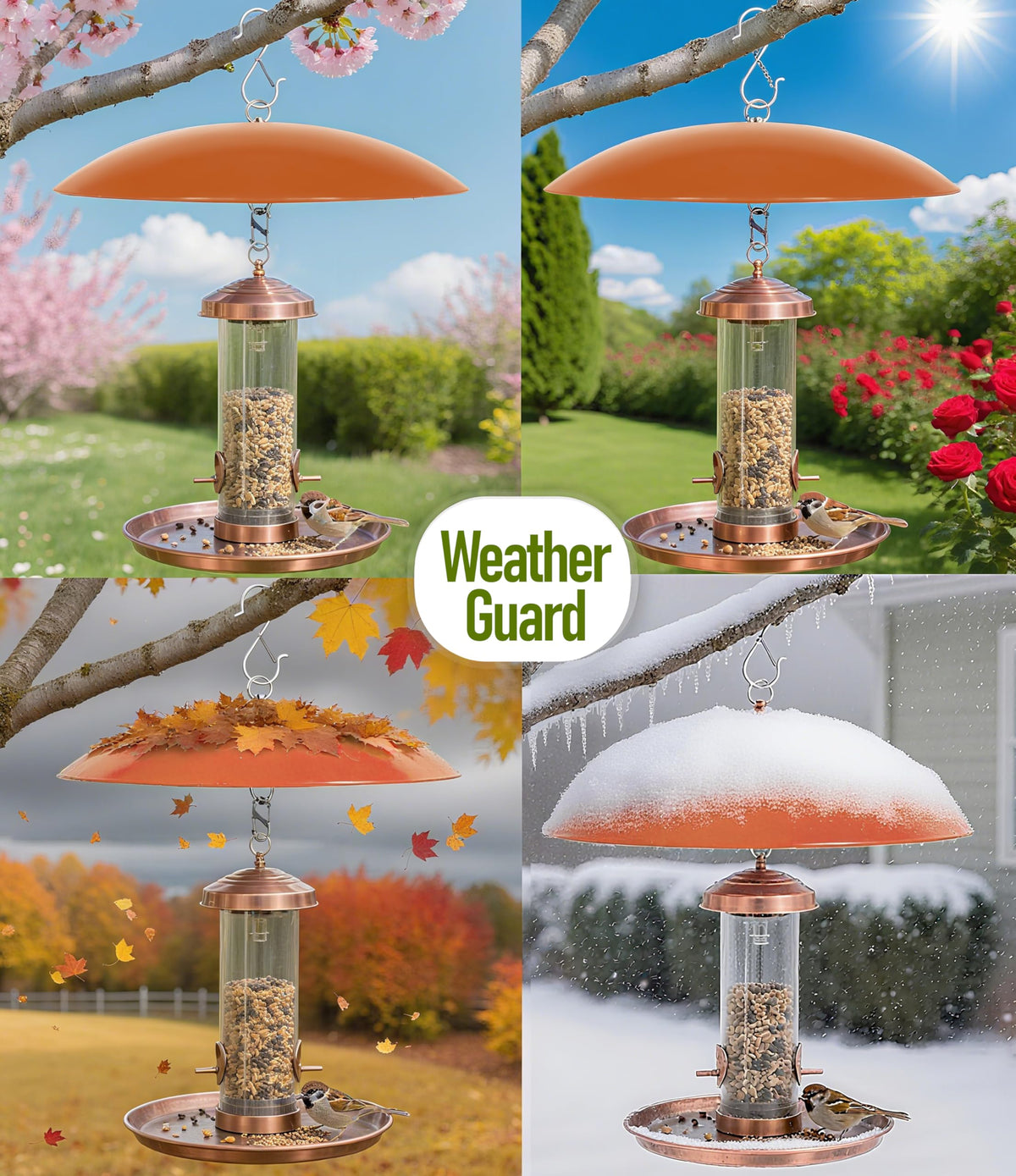 Andergi bird feeder rain guard closeup shows curved shield blocking rain and debris.