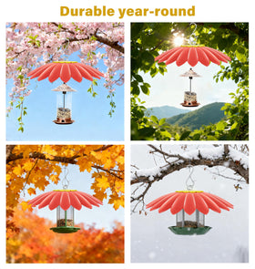 andergi bright colors attract hummingbirds while offering shade