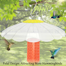 andergi sunshade design attracts more hummingbirds for closer observation