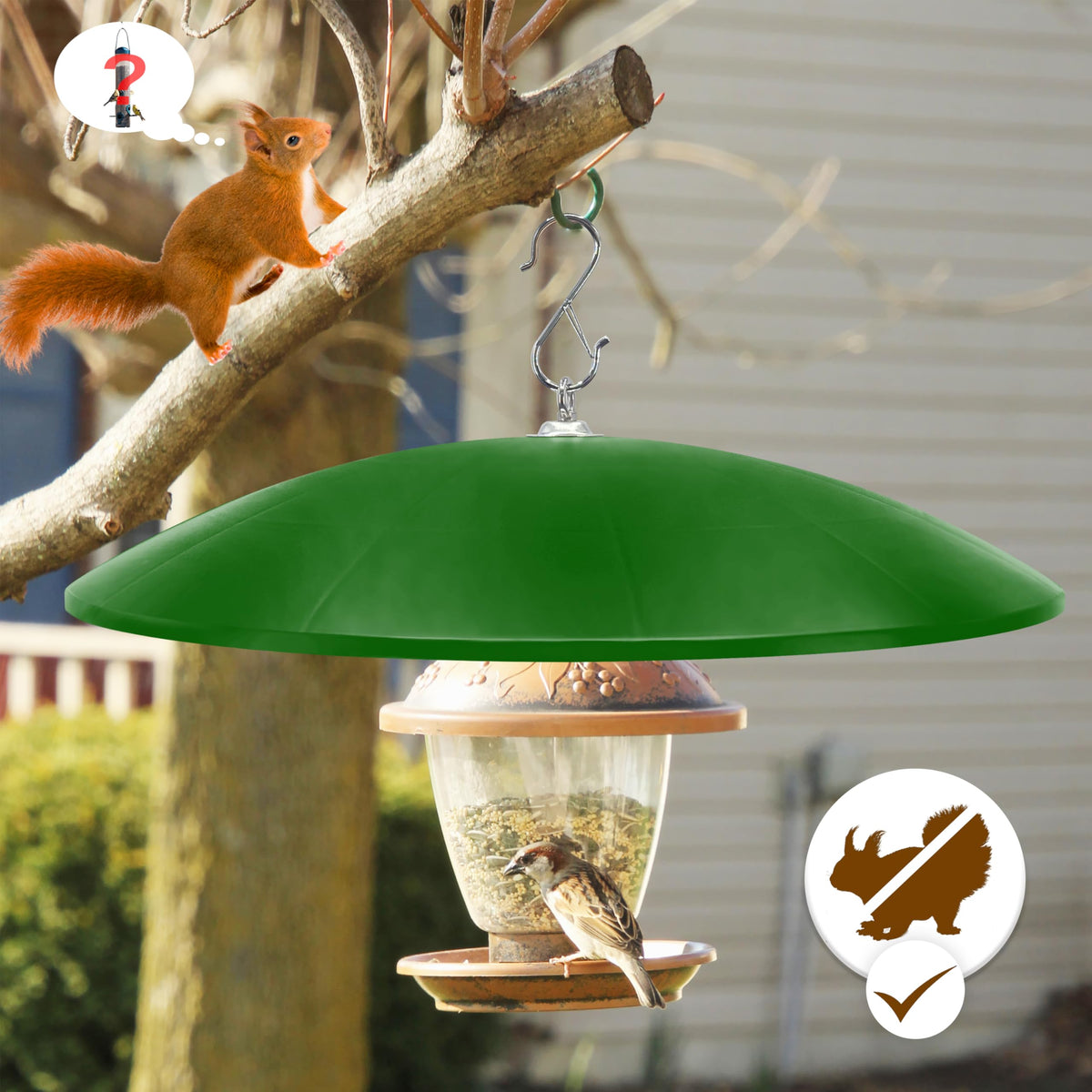 Andergi gift for bird watchers in backyards.
