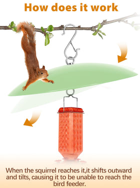 andergi hummingbird feeder shield keeps feeder clean during storms.