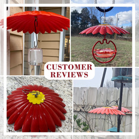andergi hummingbird feeder shade dome protects feeding area from sun and heat