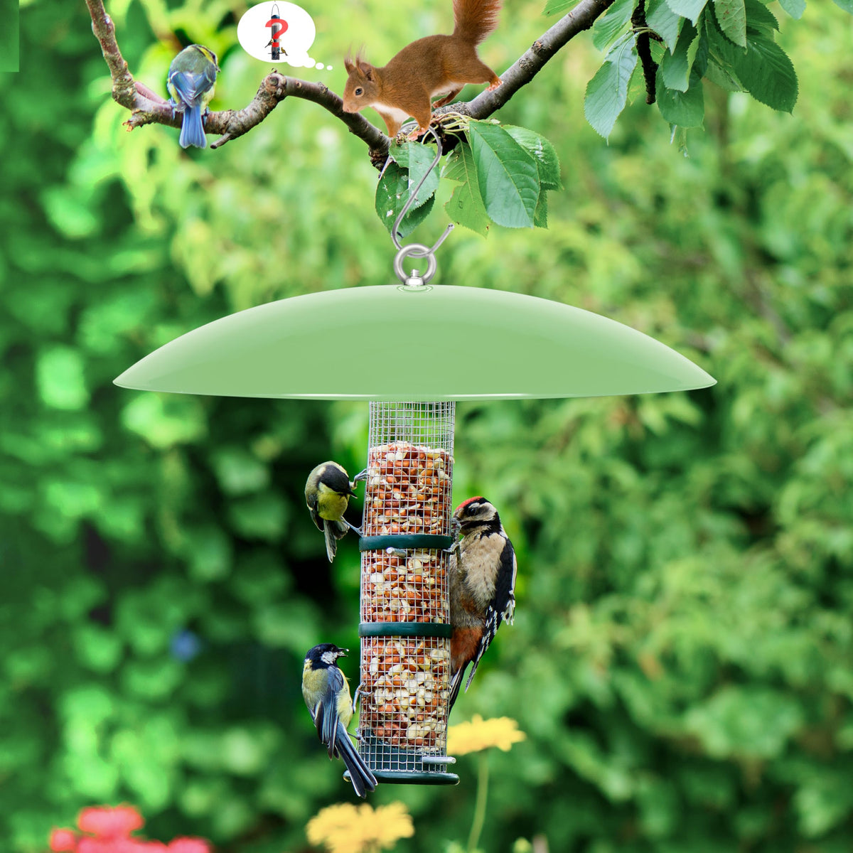 andergi squirrel-deterrent umbrella protects birdseed.
