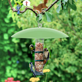 andergi squirrel-deterrent umbrella protects birdseed.