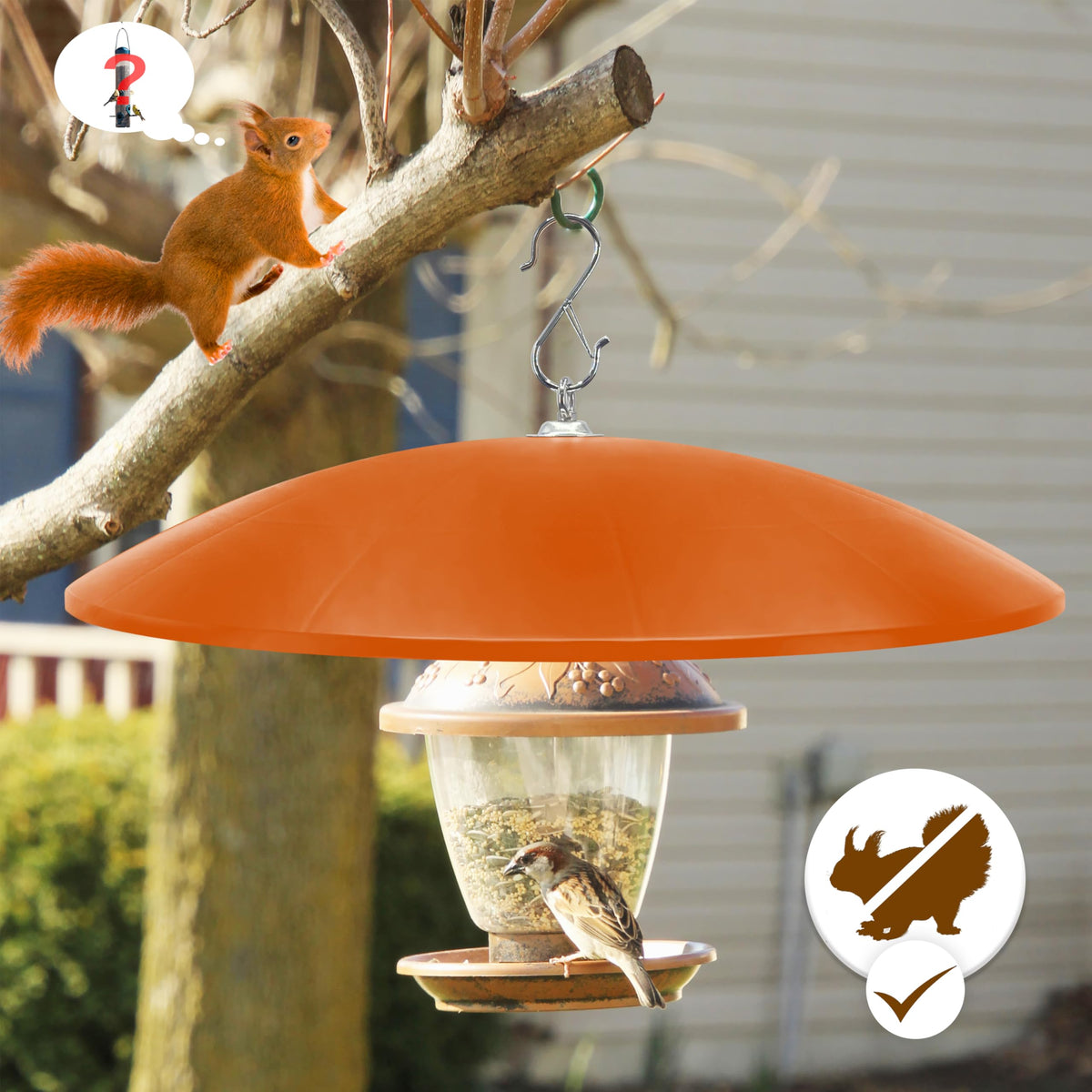 Andergi two-pack ideal for wild bird watchers and gifts.