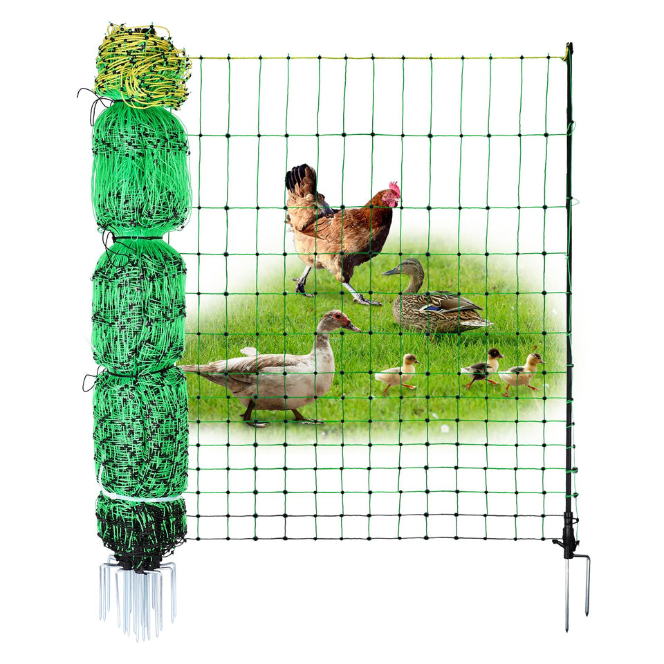 ANDMON electric poultry netting in a backyard layout for secure poultry protection