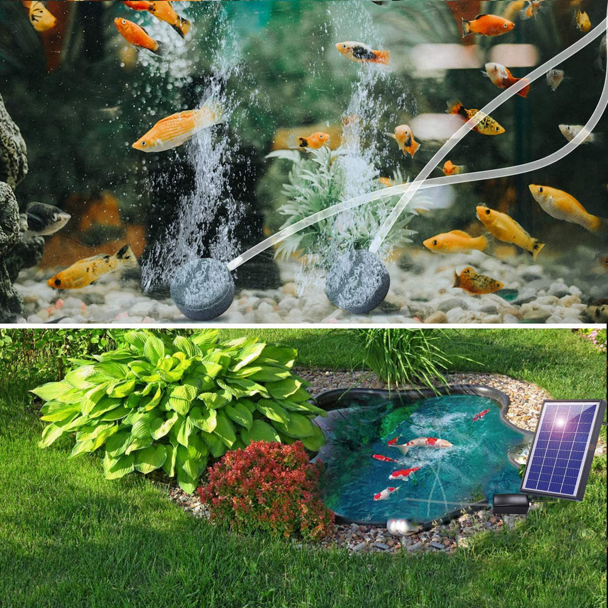 Andoer air stone 1 promoting even bubble distribution across the pond