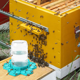 ANGAR yellow-blue color contrast attracts bees and aids visibility