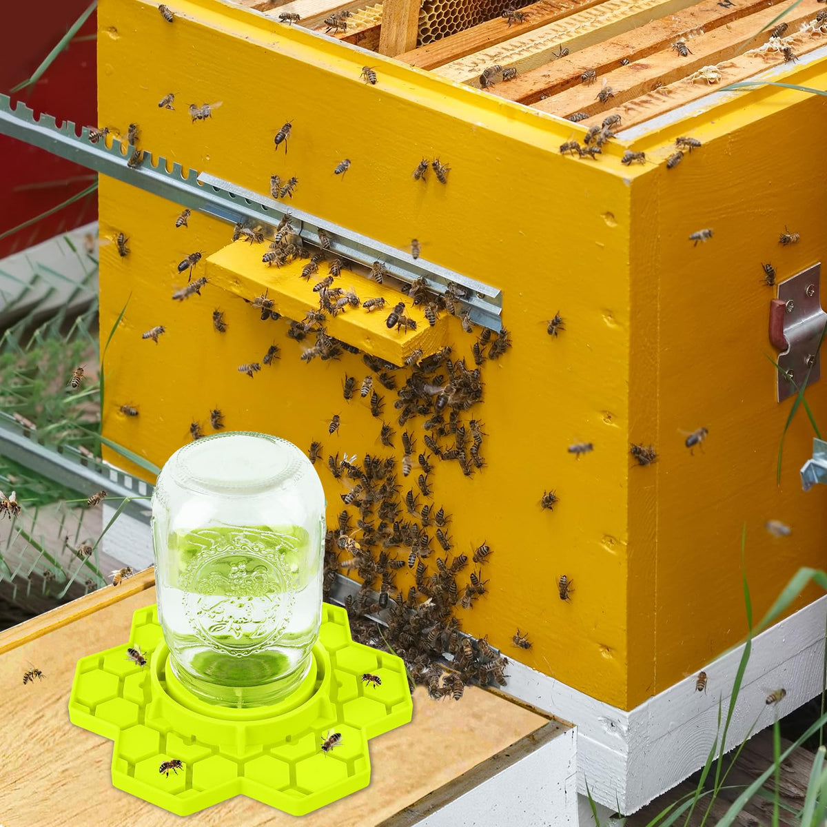 ANGAR easy-clean bee feeder highlighting smooth silicone surface