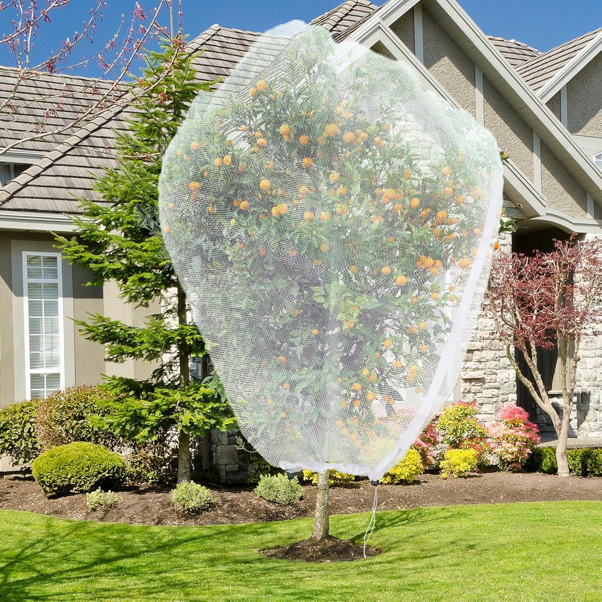 ANGAR 12x12ft fruit tree netting with zipper protects trees from birds.