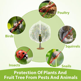 ANGAR netting protects fruit trees from birds and cicadas.