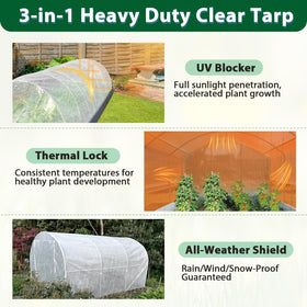 ANGAR UV-resistant transparent greenhouse cover supports plant growth