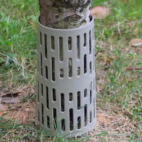 Angchine lamp post protector grey guards landscape fixtures alongside trees.