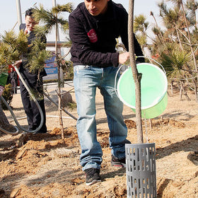 Angchine multiuse tree guard grey adapts to various landscape installations.