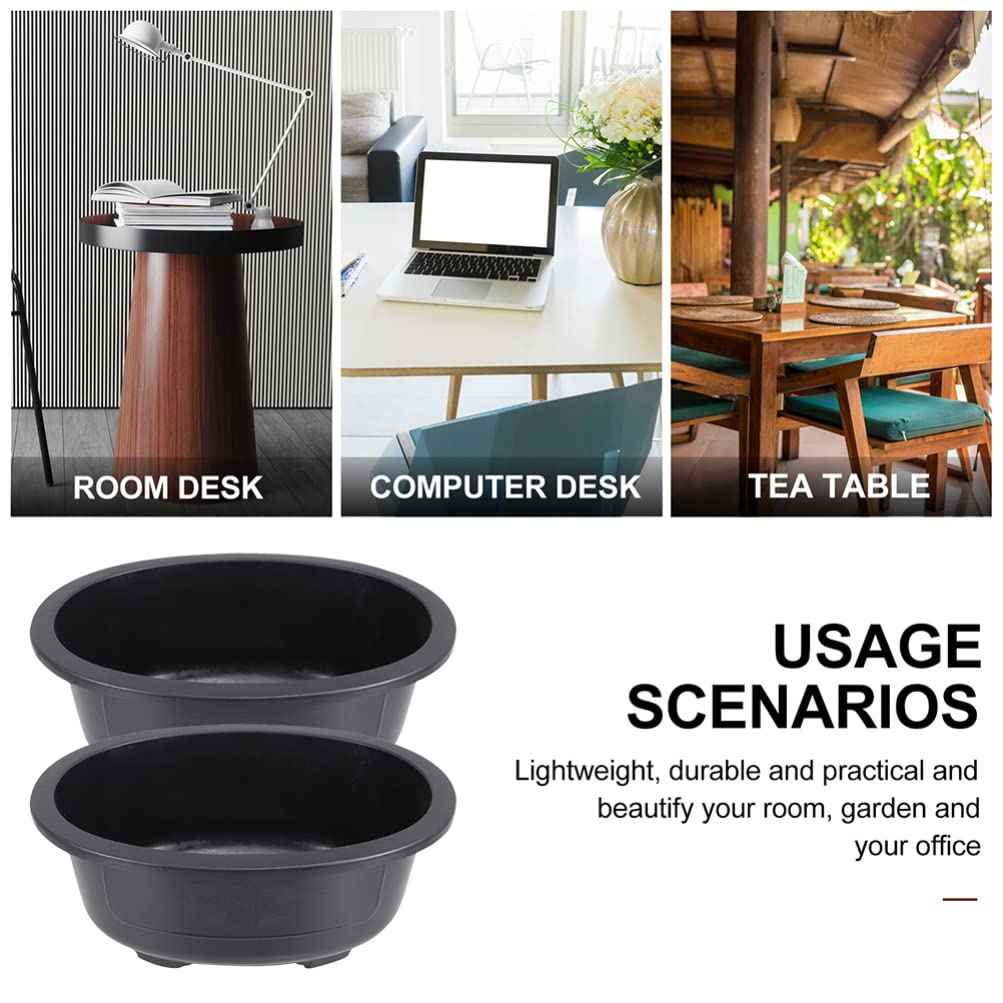 Angoily bonsai pack includes two pots for versatile setups