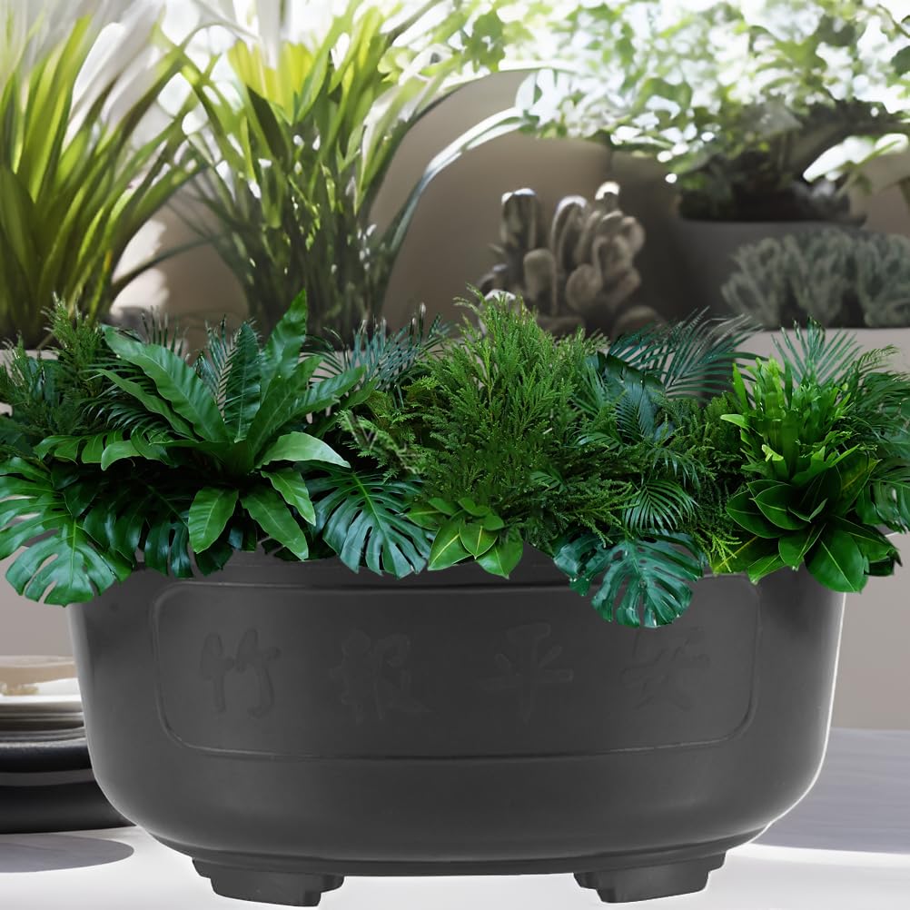 Angoily durable PP plastic bonsai pot for indoor and outdoor use