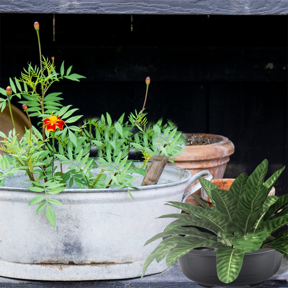 Angoily bonsai pot with drainage tray helps tidy watering