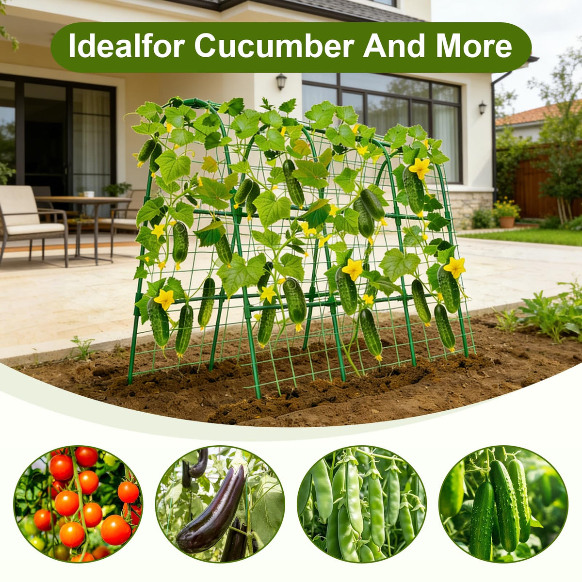 Anlass climbing plants with trellis for organized garden structure