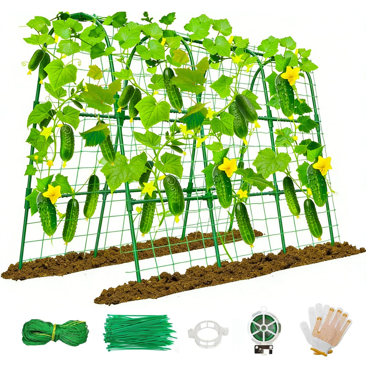 Anlass cucumber trellis raised-bed U-shape arch supports vigorous vine growth