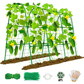 Anlass cucumber trellis raised-bed U-shape arch supports vigorous vine growth