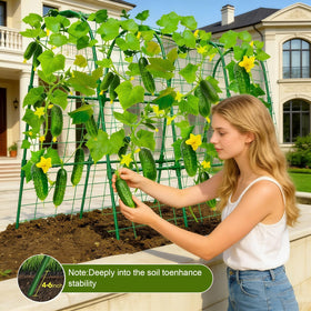 Anlass U-shape arch provides easy harvest access from both sides