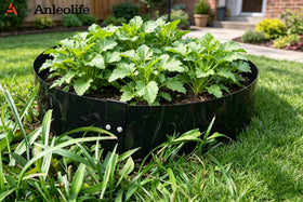 Anleolife border idea shows versatile placements around paths