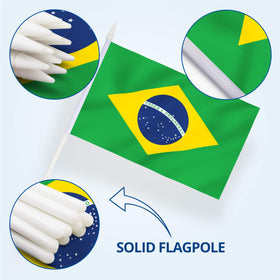 Anley Brazil mini flag print appears bright and detailed