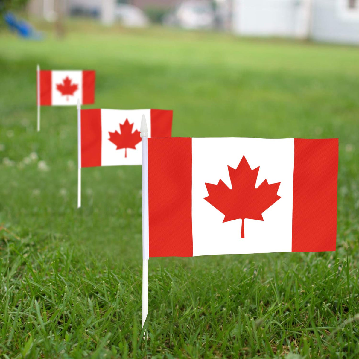 Anley Canada mini flag, fade-resistant polyester, vivid colors for outdoor celebrations