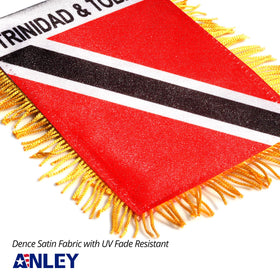 Anley fringed window flag adds bright color to home decor.