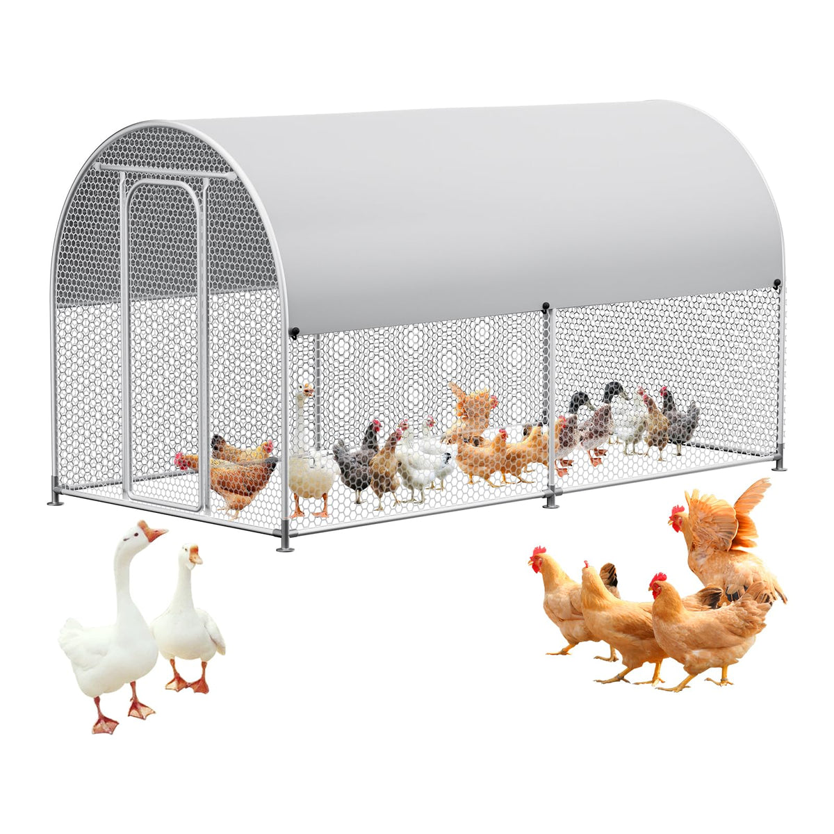 AnMetora large metal chicken coop walk-in offers easy daily access for feeding and cleaning.