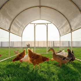 AnMetora spacious poultry enclosure supports movement and comfort for birds.