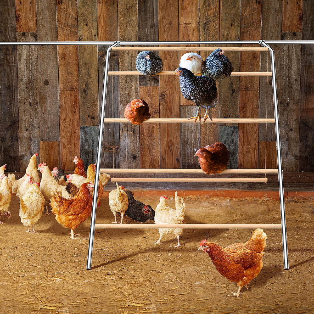ANNDING adjustable chicken swing height supports natural movement and exercise for healthier birds.