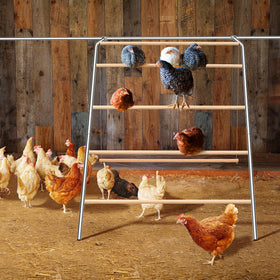 ANNDING adjustable chicken swing height supports natural movement and exercise for healthier birds.