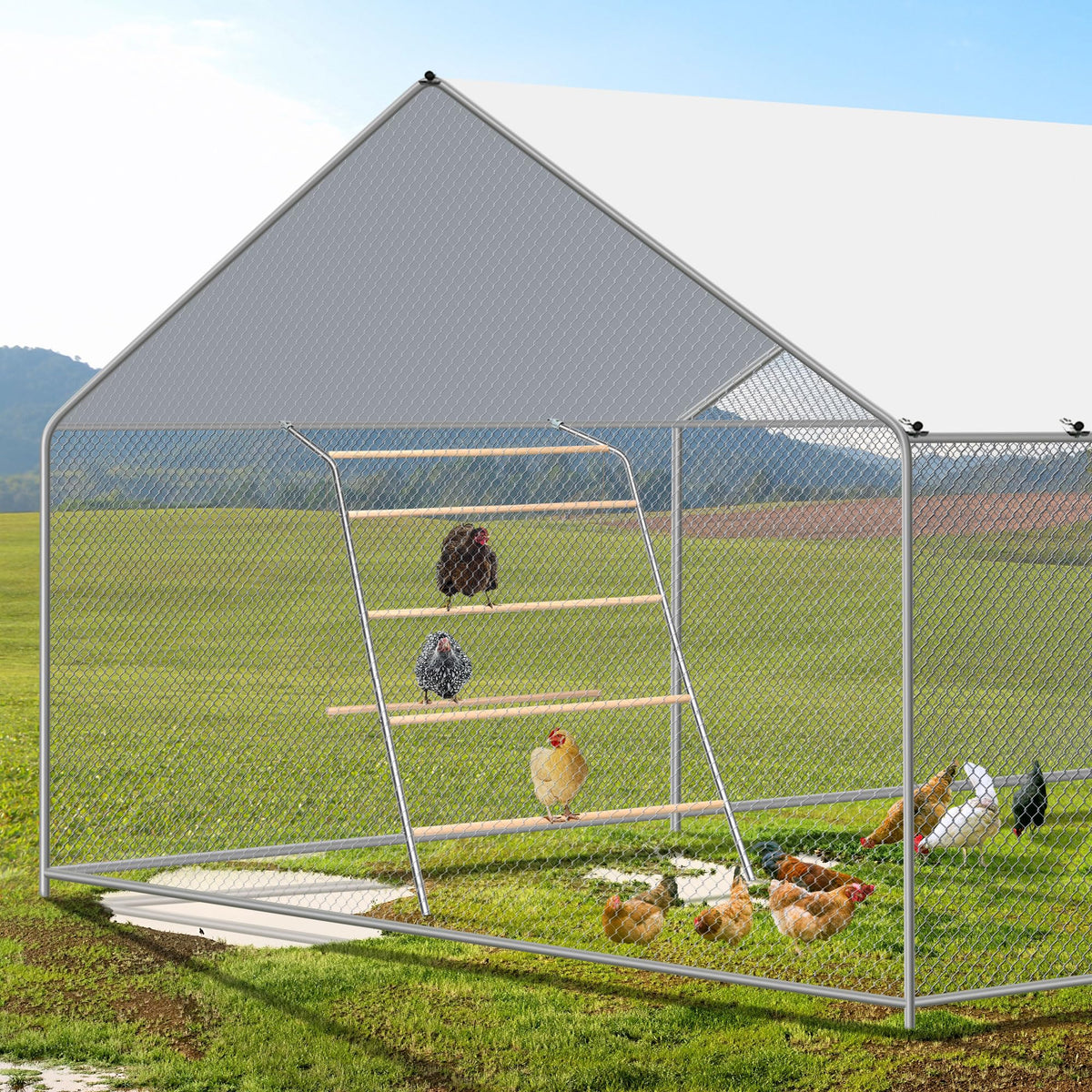 ANNDING galvanized metal frame roost ensures durable, weather-resistant setup for outdoor coops.