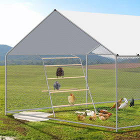ANNDING galvanized metal frame roost ensures durable, weather-resistant setup for outdoor coops.
