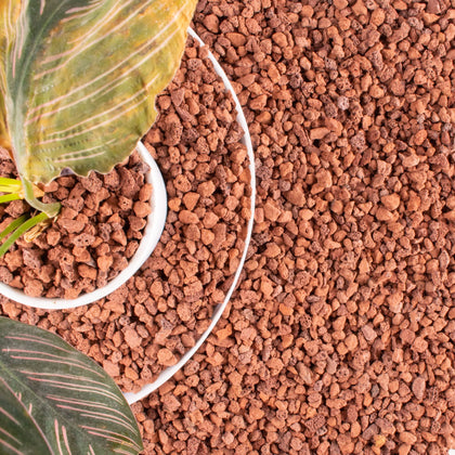 Anothera 14lb red lava rock for plants with natural drainage benefits.