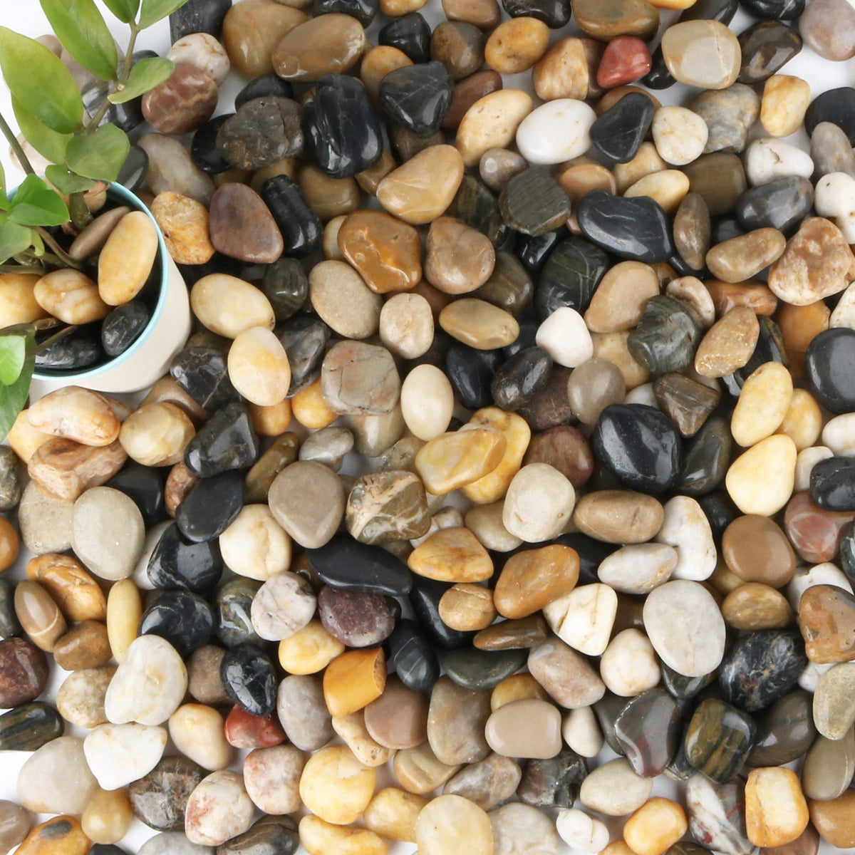 Anothera 18-lb bulk bag pebbles close-up showing natural stones for durable garden decor.