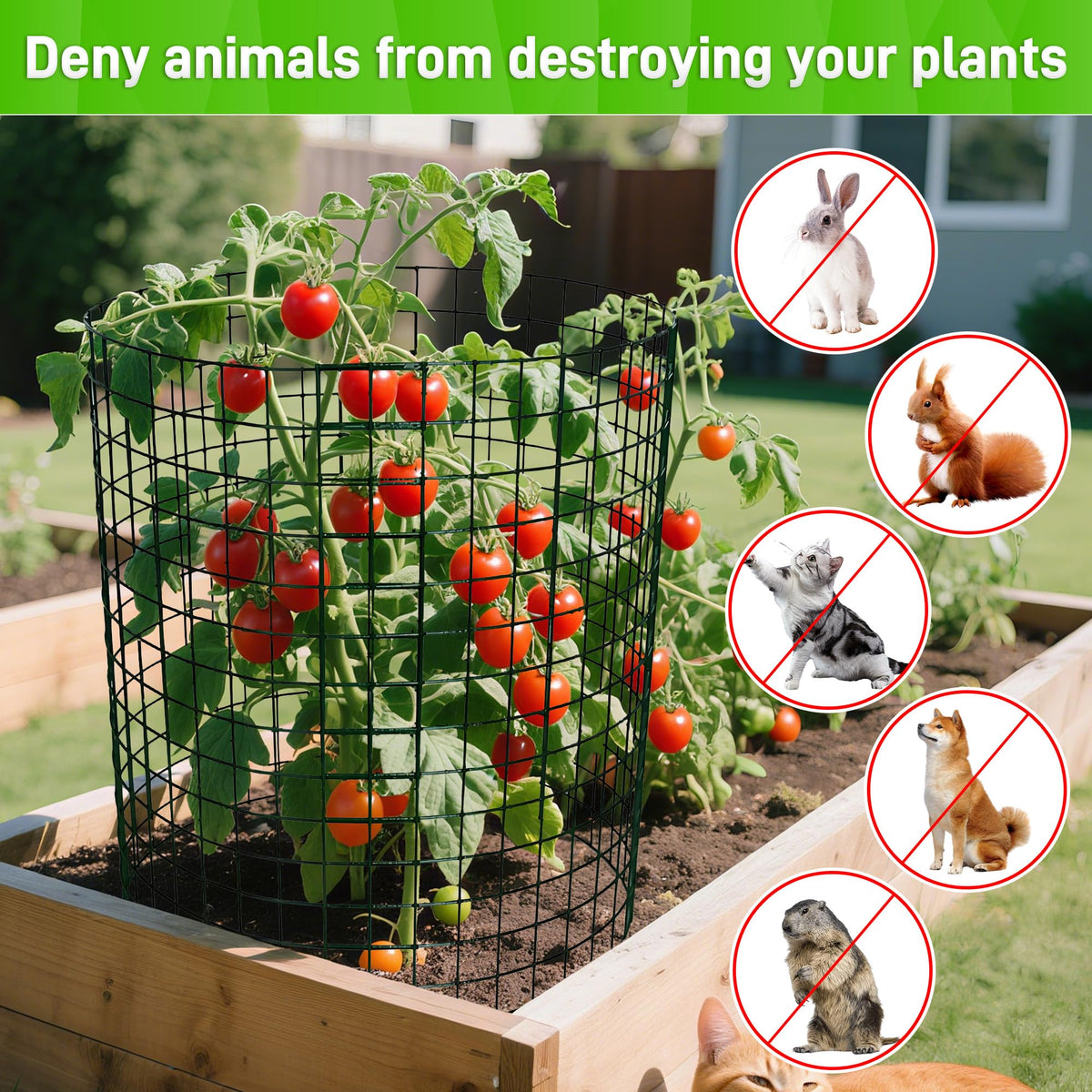 Anothera easy-assembly panels connect into various cage shapes with ties and stakes