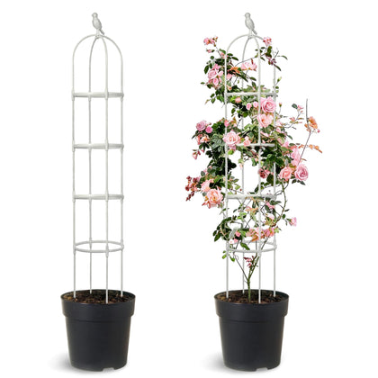 Anothera 6ft trellis provides sturdy vertical support for climbing plants.