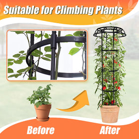 Anothera versatile trellis for indoor and outdoor spaces, ideal for vines, roses, and tomatoes.