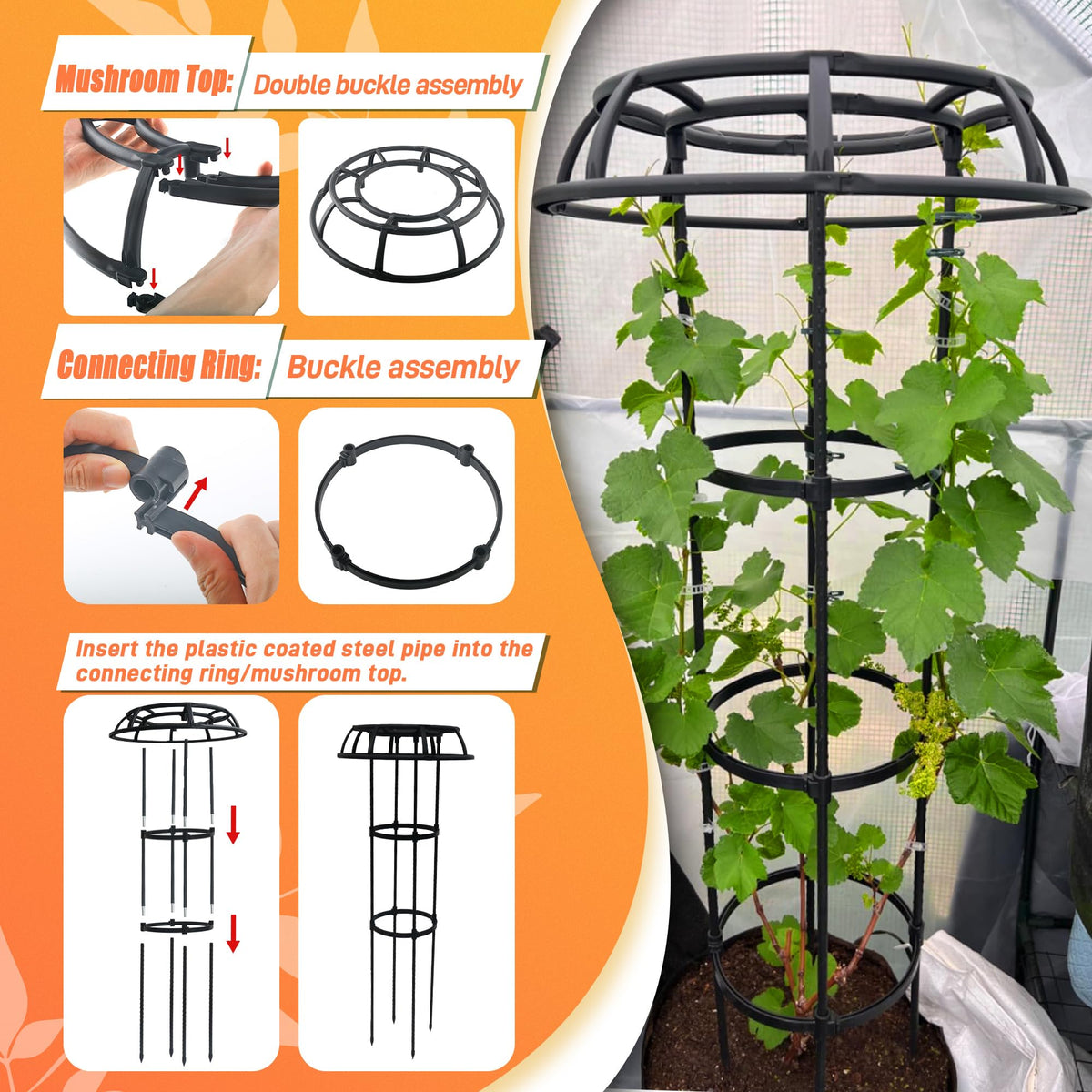 Anothera sturdy support for vines, roses, and clematis in gardens