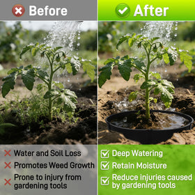 Anothera rings directing water toward root zone during irrigation