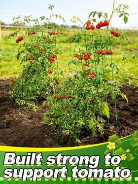 ANPHSIN 39-by-15-7-inch panels support a range of climbing vegetables.