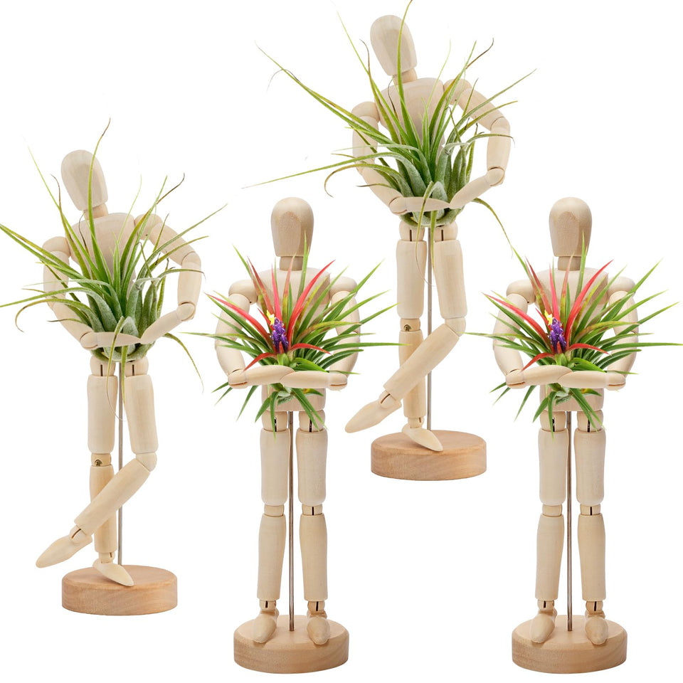 ANPHSIN 4-pack wooden air plant holder mannequin stand with adjustable poses for desk decor
