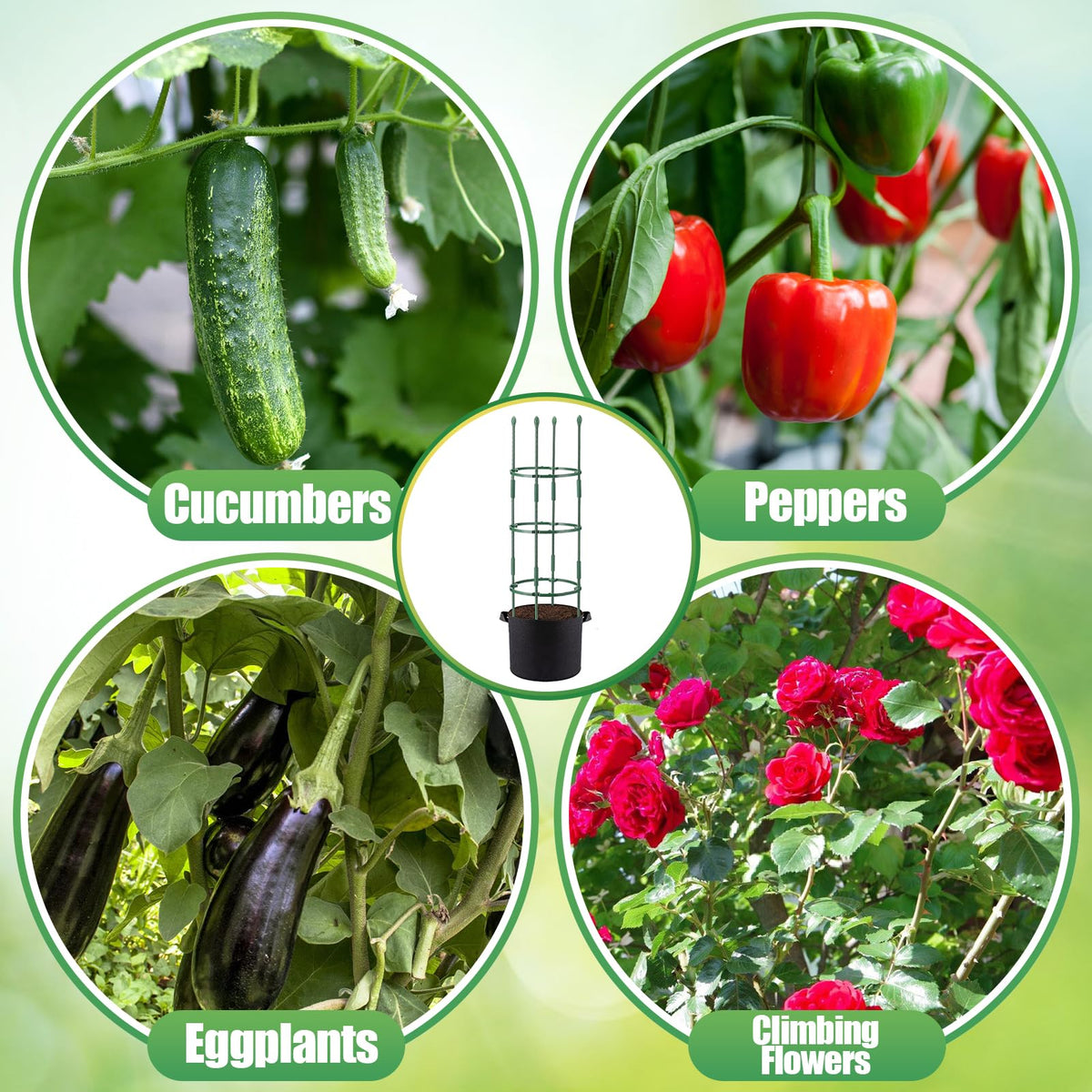 ANPHSIN adjustable height tomato cage reaches 48.5 inches for taller plants