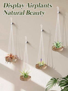 ANPHSIN air plant hanger with cotton ropes, sturdy and durable.